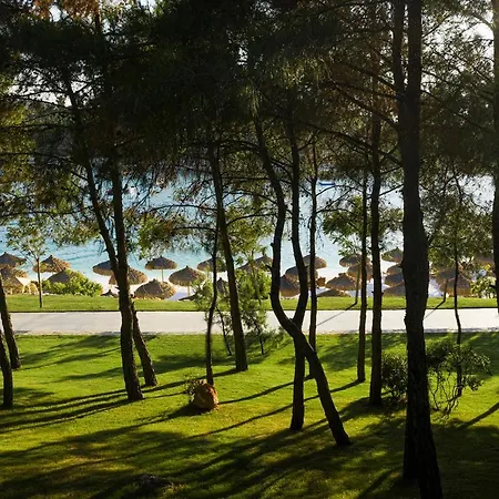 Hotel Lujo Bodrum 5*